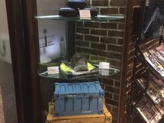 -真枪会射击俱乐部(河西中央公园店)
