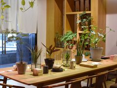 大堂-柴务处·柴犬主题狗咖