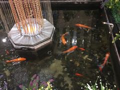 -静之湖湖畔餐厅