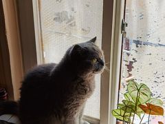 -Rabbit Cafe私房西餐甜点咖啡(栖霞路店)