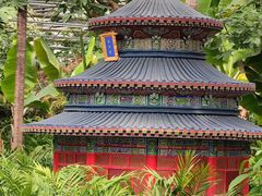 -南宫五洲植物乐园