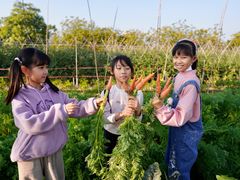 -新塘水果乐园(东洲大道店)