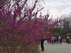 -元大都城垣遗址公园