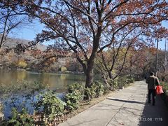 -紫霞湖公园