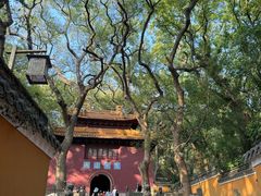 -普陀山风景名胜区-法雨禅寺