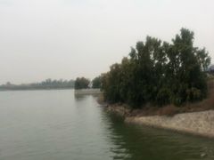 -卤阳湖国家湿地公园