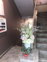 -佐登妮丝美容SPA生活馆