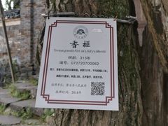 -乌石村