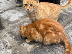 -终南山南五台景区