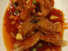 -乔家栅(襄阳南路店)