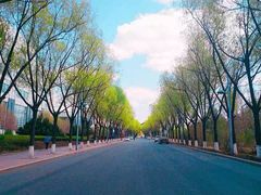 -吉林大学(前卫南区)