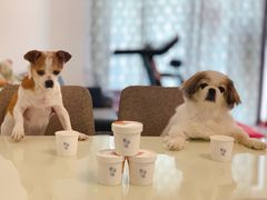 -歎雪糕低糖低脂Gelato冰淇淋