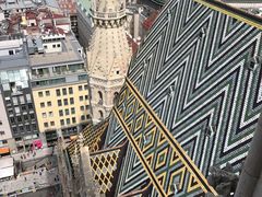 -斯蒂芬主教座堂(Stephansdom)