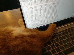 -平行世界·猫咖(首经贸店)