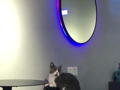 -极木²邸 人与宠物·互动社区