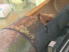-生态苑农庄(十里画廊遇龙河店)