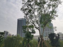 -沐仙湖湿地公园