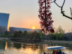 -西海子公园