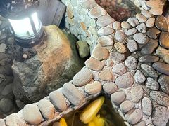 -宜春明月山维景国际温泉度假酒店