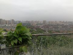 景观位-烛影拾光观景餐厅·创意菜·摄影·小提琴(大唐不夜城店)