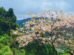 -金堂县云顶石城风景区