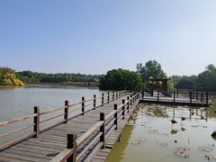 -大湾区中央湿地公园
