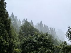 -莫干山风景区