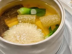 摩利菌绣球豆腐汤-海味观(老西门店)