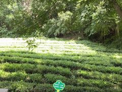 -敬亭山风景名胜区