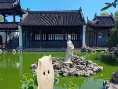 -莫愁湖公园