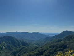 -大岭沟猕猴桃谷风景区