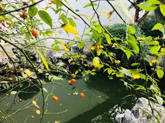 -苏州文旅花间堂·探花府酒店