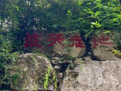 -西安曲江寒窑遗址公园