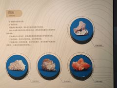 -湖南省地质博物馆