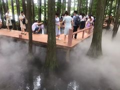 -东湖落雁景区