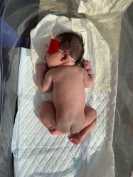 点击看大图 -巍阁高端月子会所