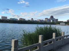 -莲花池公园