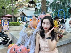 -灵玲国际马戏城
