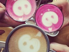 -WHEN PIGS FLY当猪飞