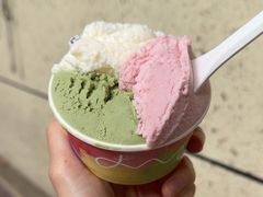 -Dip in Gelato(富民路店)