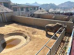 -西霞口神雕山野生动物世界