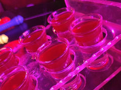 -MOSSO音乐酒吧·live house(南京旗舰店)