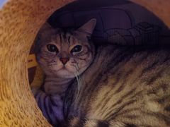 -H立方实景剧情密室(天河旗舰店)