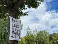 -丽江泸沽湖景区