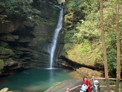 -中国大熊猫保护研究中心雅安碧峰峡基地