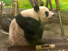 -柳州市动物园