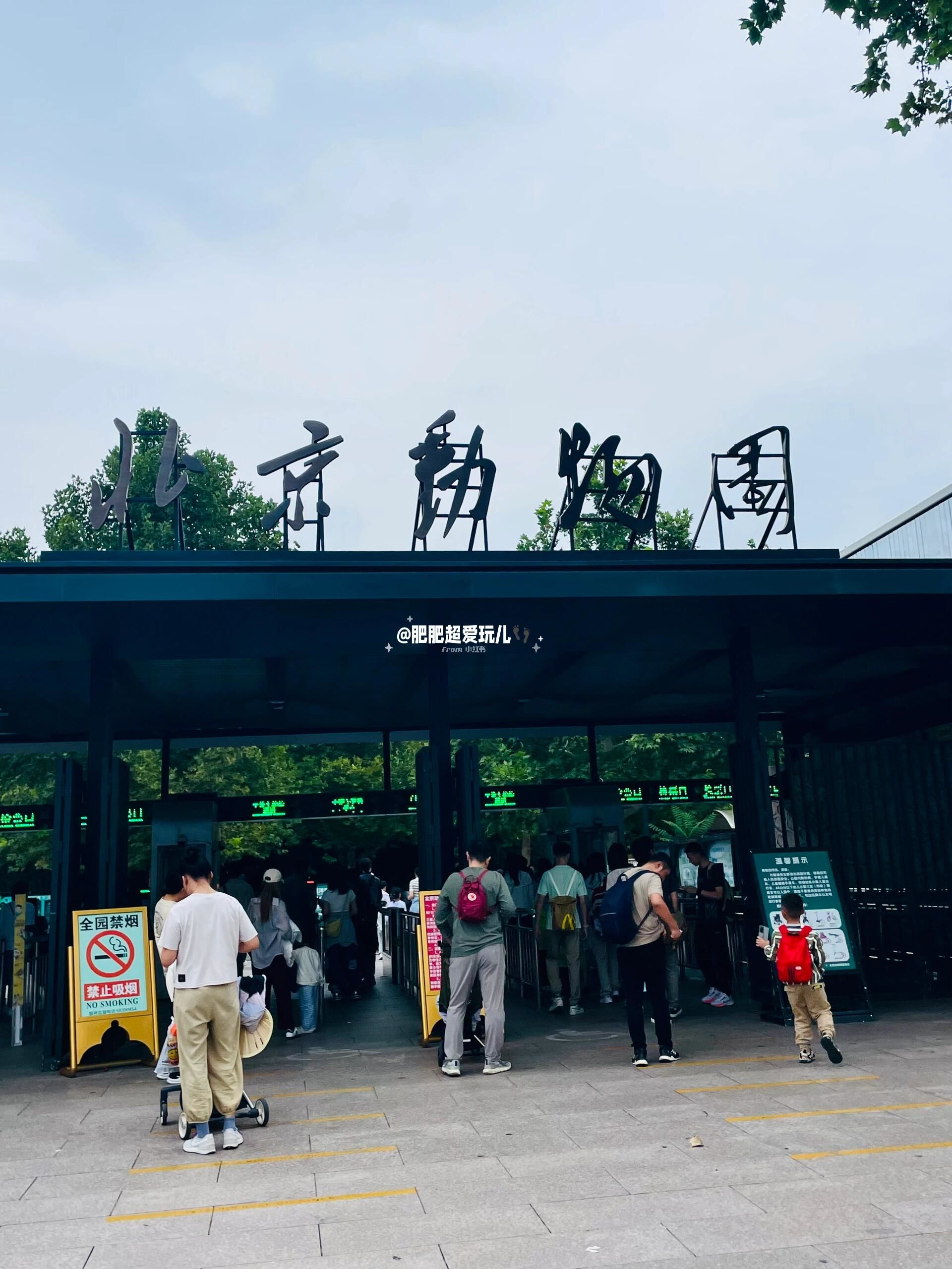 不走回头路‼️保姆级北京动物园攻略指南