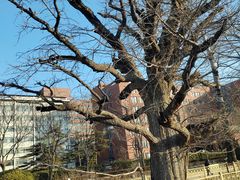 -清华大学玉泉医院