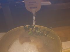 -巴奴毛肚火锅(广益哥伦布店)