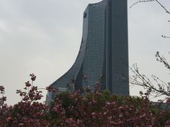 -天鹅湖体育公园
